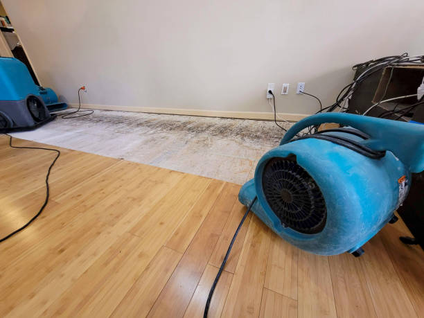 Professional Water Damage Repair technician working in North Aurora, IL